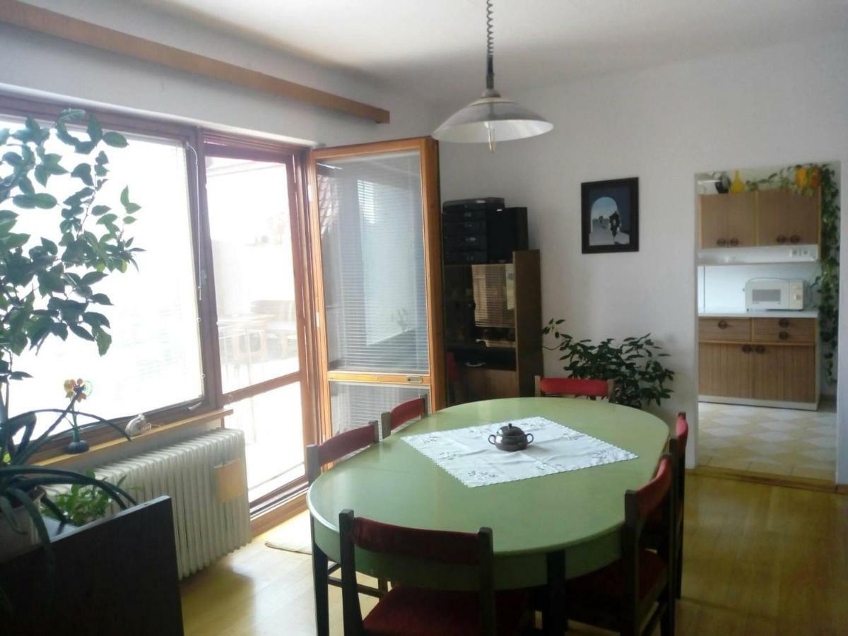 Apartment U Zaludu Ledenice